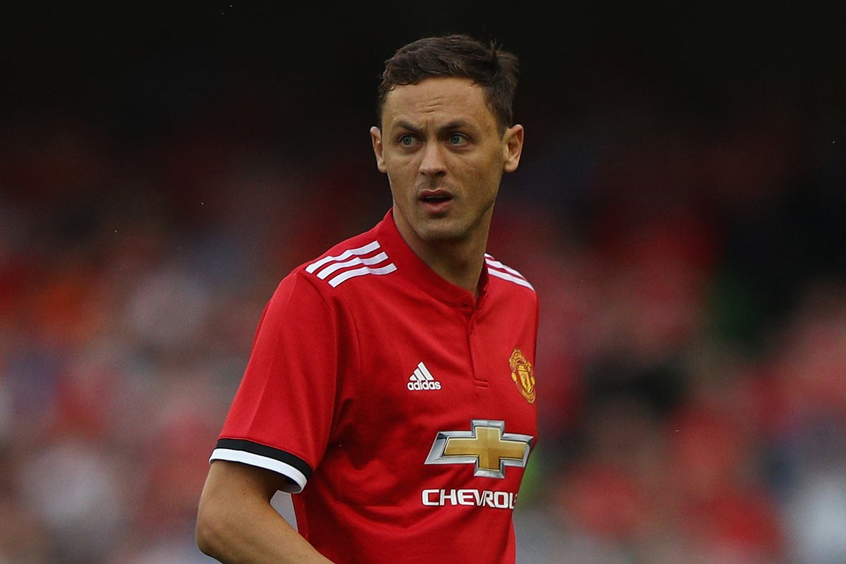 专业机构的 专业机构的