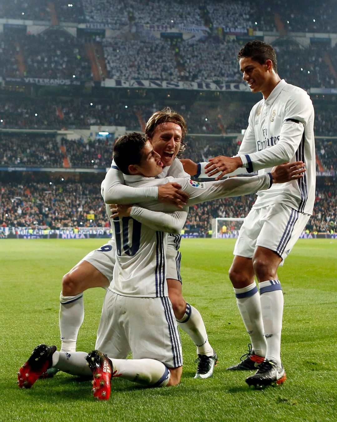 多数引援效 多数引援效